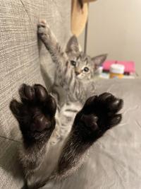 Tiny toes