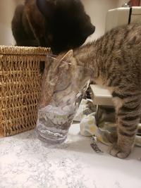 Thirsty