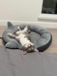 Too relaxed