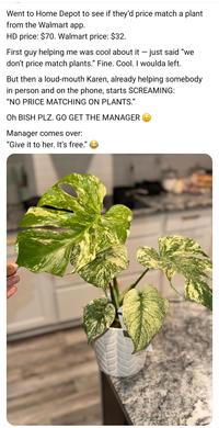 Went to Home Depot to see if they'd price match a plant from the Walmart app. HD price: $70. Walmart price: $32. First guy helping me was cool about it - just said "we don't price match plants." Fine. Cool. I woulda left. But then a loud-mouth Karen, already helping somebody in person and on the phone, starts SCREAMING: "NO PRICE MATCHING ON PLANTS." Oh BISH PLZ. GO GET THE MANAGER Manager comes over: "Give it to her. It's free."