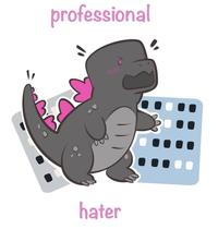 professional hater