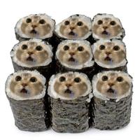 Drooling Cats Sushi