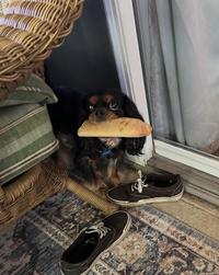 That is not yours