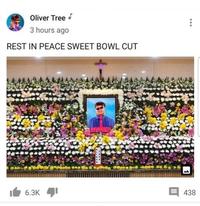 Oliver Tree 3 hours ago REST IN PEACE SWEET BOWL CUT 6.3K 600 438