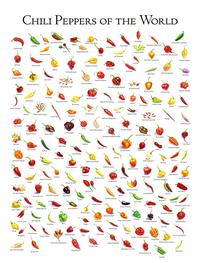 CHILI PEPPERS OF THE WORLD All Norteño New Mexico Chill Yellow Brain Strain Mucho Nacho Jalapeno Datil Mirasol Indonesian Cabe Rawit Puya Pepper Jalapeño Aconcagua Costeño Rojo Tepin Orange Habanada Marconi Golden Bolito Aji Pineapple Aji Dulce Marconi Red Adjuma Trinidad Scorpion Orange Lantern Cascabel Guntur Sannam Aji Chombo Wirl Wil Mustard Habanero Goat Horn Madame Jeanette Red Congo All Angelo Rocoto Arequipa Peach Habanero Mozambique Bird Aji Mango Aji Mochero Rocoto San Isidro Aji Fantasy Kpakpo Shito Trinidad Moruga Scorpion Caribbean Seasoning Trinidad Perfume Piri Piri Big Sun Habanero Bhavnagri Aji Ayuyo Chocolate Scotch Bonnet Aji Cochabamba Rocoto Cusco Brazilian Starfish Surinam Red Rocoto Gigante Ring of Fire Cayenne Aji Benito Locoto Italian Frying Aji Colorado Canario Kashmiri Mirch Guinea Filipino Siling Labuyo Aji Omnicolor Aji Rosita Er Jing Tiao Habanero Maya Red Habanero Gigante Paprika Bishop's Crown 7 Pot Douglah Congo Black Naga Viper Bhut Jolokia Chilaca Banana Cherry Chao Tian Jiao Kambuzi Japanese Hontaka Fatali Chile Rayado Rocoto Manzano Hungarian Wax. 7 Pot Peach Bhut Jolokia Aji Cito Chile de Árbol Chocolate Carolina Reaper Anaheim Cayenne Corbaci Bydagi Thai Bird's Eye Chili Carolina Reaper Chocolate Bhut Jolokia Brain Strain Aji Challuaruro 7 Pot Primo Komodo Dragon Peter Scotch Bonnet Red Savina Bonda Ma Jacques Bulgarian Carrot Rocoto Orange Pimiento Aji Lemon Drop- Aji Panca Surinam Red Chiltepin Nu Mex Twilight Ancho San Luis Chihuacle Amarillo Chile Padrón Corno di Toro Pico de Pájaro NuMex Big Jim Fresno Early Jalapeno Alma Paprika Aji Charapita Congo Prik Kee Noo Cheongyang Bell Guindilla Takanotsume Malagueta Korean Gochu Jay's Ghost Scorpion Aji Amarillo Habanero Pequin Chilhuacle Rojo Super Chill Kapla Thai Ornamental Cluster Aleppo Costeño Amarillo Tabasco White Habanero Aji Limo All Cristal Rocoto Rojo Jamaican Mushroom Santa Fe Grande Jimmy Nardello Red Missile Rocoto Amarillo Urfa Biber Serrano Hatch Chile Purple Jalapeno Santaka Serranito Vietnamese Bird's Eye Gypsy Hungarian Paprika Bahamian Goat Poblano Feher Ozon Paprika Chocolate Habanero Tien Tsin Caribbean Red Joe's Long Cayenne Thal Dragon Caloro Trinidad 7 Pot Barrackpore Infinity Chill Hainan Yellow Lantern Dragon's Breath Dorset Naga Apocalypse Scorpion Naga Morich Tobago Seasoning Shishito All Guyana
