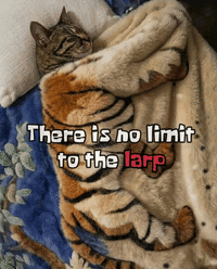 There is no limit to the larp