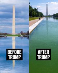 It's become so clear that the paint is peeling off the bottom of the reflecting pool that it's solely Trump's fault and he's responsible for it.