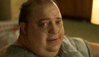Black templar fans don’t even defend their faction anymore they just look at you like this | /r/grim...