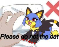 Please do not the cat