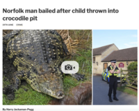 Norfolk man bailed after child thrown into crocodile pit 19TH JUNE CRIME By Harry Jackaman-Pegg O4 Janions AD SP DU73 E