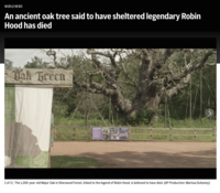WORLD NEWS An ancient oak tree said to have sheltered legendary Robin Hood has died Dak Green 1 of 3 The 1,200-year-old Major Oak in Sherwood Forest, linked to the legend of Robin Hood, is believed to have died. (AP Production: Marissa Duhaney)
