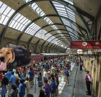 6 HOGWARTS EXPRESS