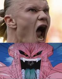 Buu Haaland
