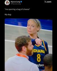 Alyssa Lang @AlyssaLang *me opening a bag of cheese* My dog: X.com Lilly DIANA 8 sforce