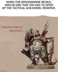 WHEN THE SPACEMARINE REVEAL WAS SO MID THAT GW HAD TO OPEN UP THE TACTICAL AOS MODEL RESERVE. Signature look of superiority. imgflip.com