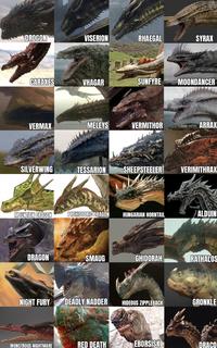 DROGON VISERION RHAEGAL SYRAX CARAXES VHAGAR SUNFYRE MOONDANCER VERMAX MELEYS VERMITHOR ARRAX SILVERWING TESSARION SHEEPSTEELER VERIMITHRAX MOUNTAIN DRAGON PREHISTORIC DRAGON HUNGARIAN HORNTAIL ALDUIN DRAGON SMAUG GHIDORAH RATHALOS NIGHT FURY DEADLY NADDER HIDEOUS ZIPPLEBACK GRONKLE MONSTROUS NIGHTMARE RED DEATH EBORSISK DRACO