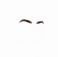 Kwebbelkop Laugh Meme Eyebrows