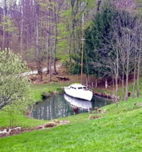 Out on the pond