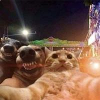 Selfie
