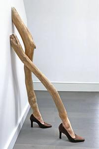 Legs