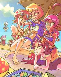 "Don't worry, Sonic! We'll teach you how to swim!"