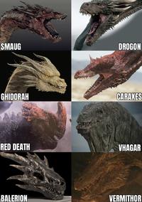 SMAUG DROGON GHIDORAH CARAXES RED DEATH VHAGAR BALERION VERMITHOR