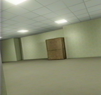 The backrooms 