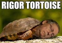 RIGOR TORTOISE