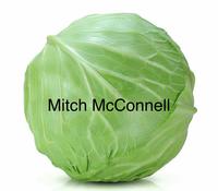 Mitch McConnell