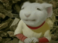 Mouse Meme
