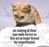 me studying all these man-made horrors so they are no longer beyond my comprehension