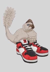Oviraptor got them shoes one