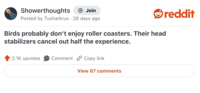 Showerthoughts → Join Posted by Tusharkrux · 28 days ago • Birds probably don't enjoy roller coasters. Their head stabilizers cancel out half the experience. 2.1K upvotes Comment Copy link View 87 comments reddit