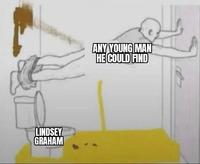 LINDSEY GRAHAM ANY YOUNG MAN HE COULD FIND