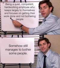 P Being a quiet, competent, hardworking employee who keeps largely to themselves and focuses on getting their work done and not bothering people Somehow still manages to bother some people.