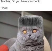 Teacher: Do you have your book Have: