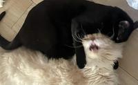 Attack