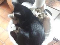 Sitting right there