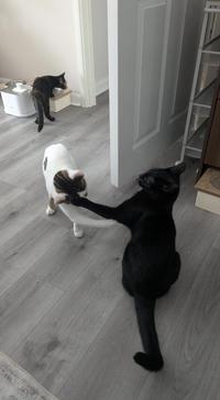 Brothers