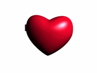 Pessi Heart Locket GIF
