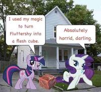 An MLP meme by Nyazsche about turning Fluttershy into a flesh cube.