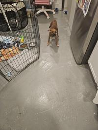 He's supposed to be in that pen