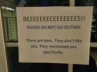 BEEEEEEEEEEEEEEES!! PLEASE DO NOT GO OUTSIDE There are bees. They don't like you. They mentioned you specifically.