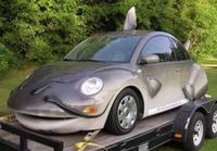 Catfish car