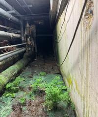 Old underground tunnels