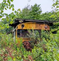A bus in the woods