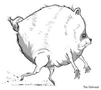 A drawing of Jimothy by Oatmeal.