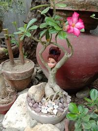 Garden decor