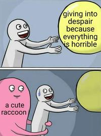 a cute raccoon giving into despair because everything is horrible