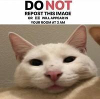 DO NOT REPOST THIS IMAGE OR HE WILL APPEAR IN YOUR ROOM AT 3 AM